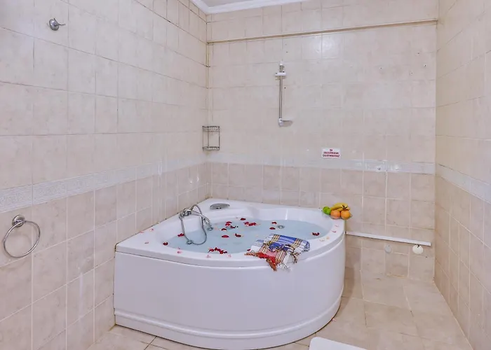 Villa Afyon Dundar Thermal *