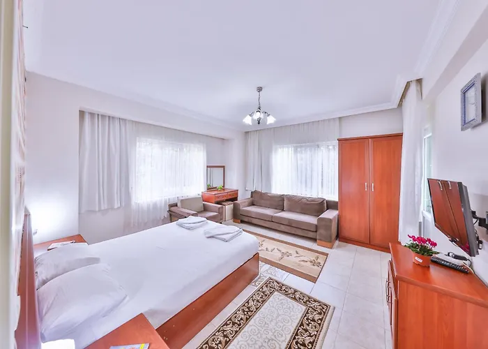 Afyon Dundar Thermal Villa