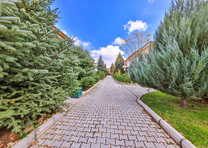 Afyon Dundar Thermal